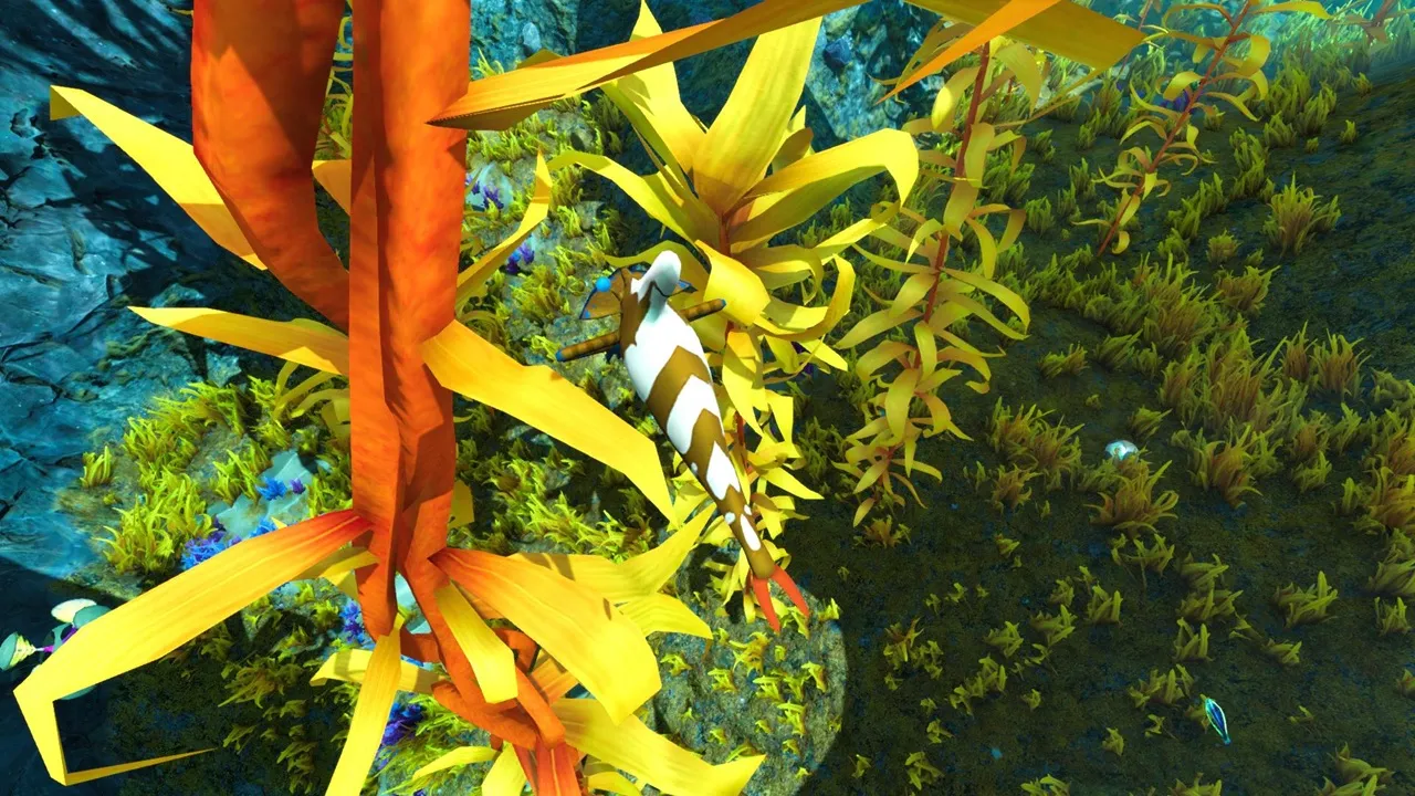 アンバークラウンピンチャー（Amber Clown Pincher）の画像