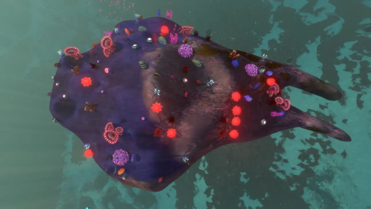 ブリスターバック（Blisterback）の画像