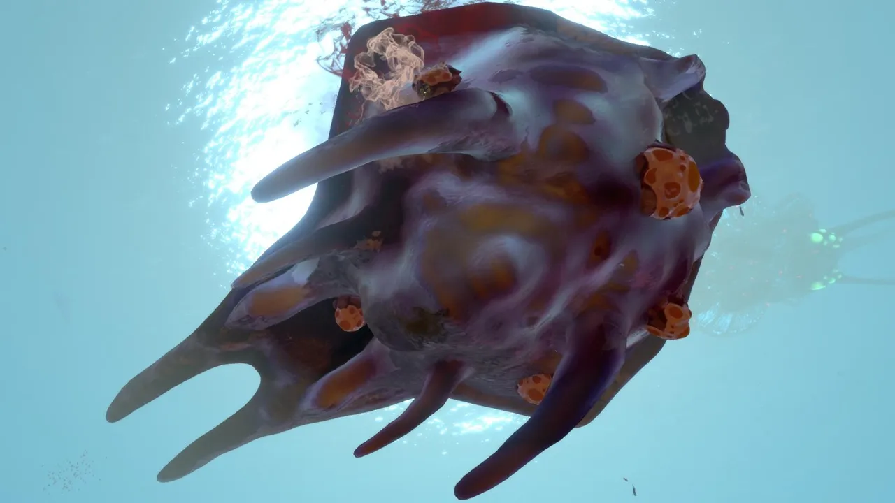 ブリスターバック（Blisterback）の画像