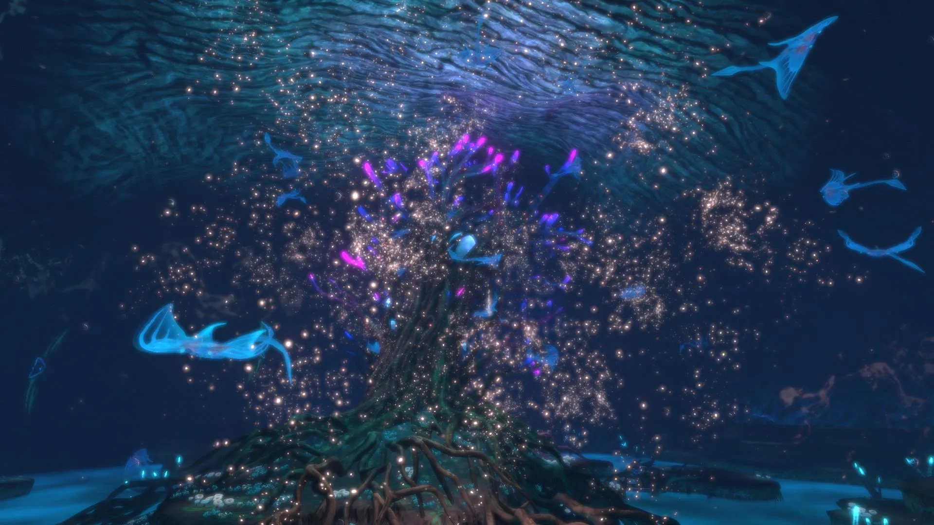 ブルームプランクトン（Bloom Plankton）の画像