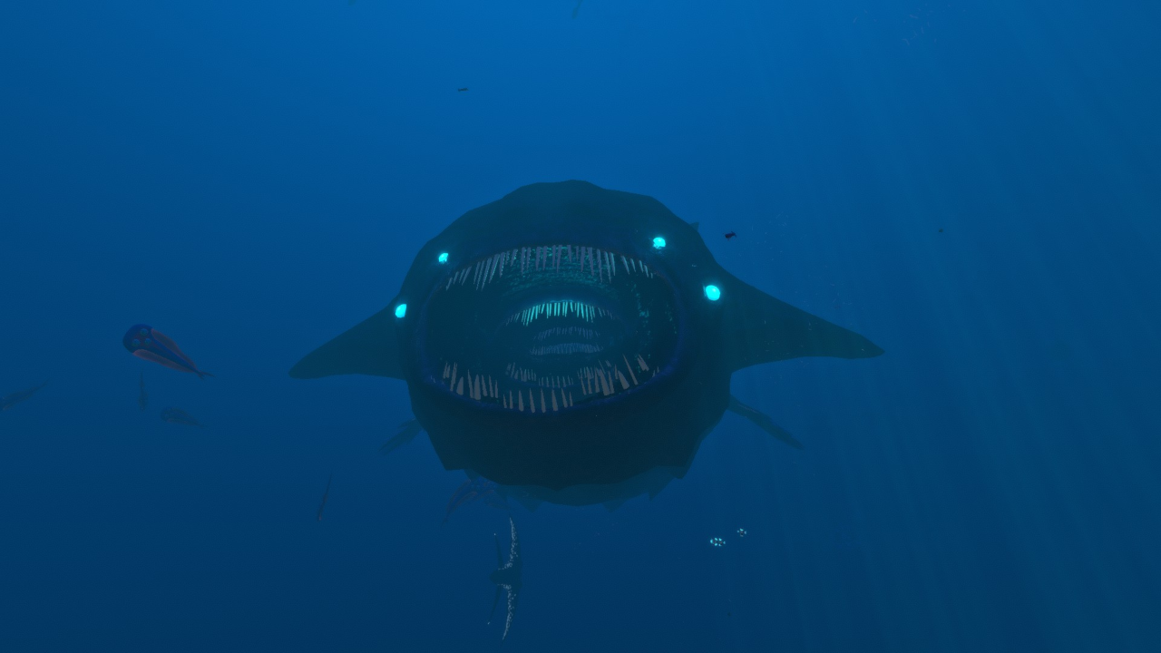 ディープ・ブループ（Deep Bloop）の画像
