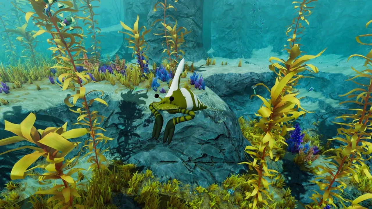 シトリンクラウンピンチャー（Citrine Clown Pincher）の画像