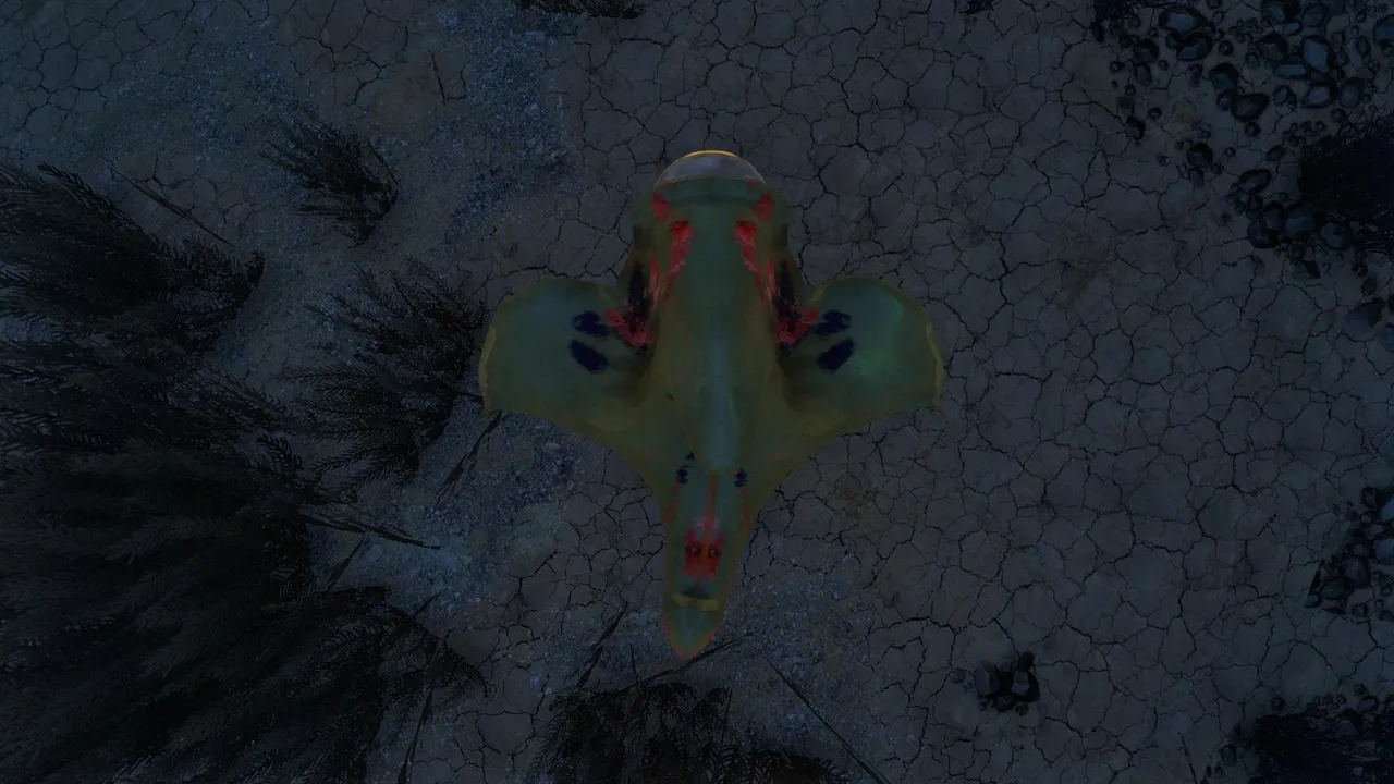 アイアイ・キャプテン（Eyeye Captain）の画像