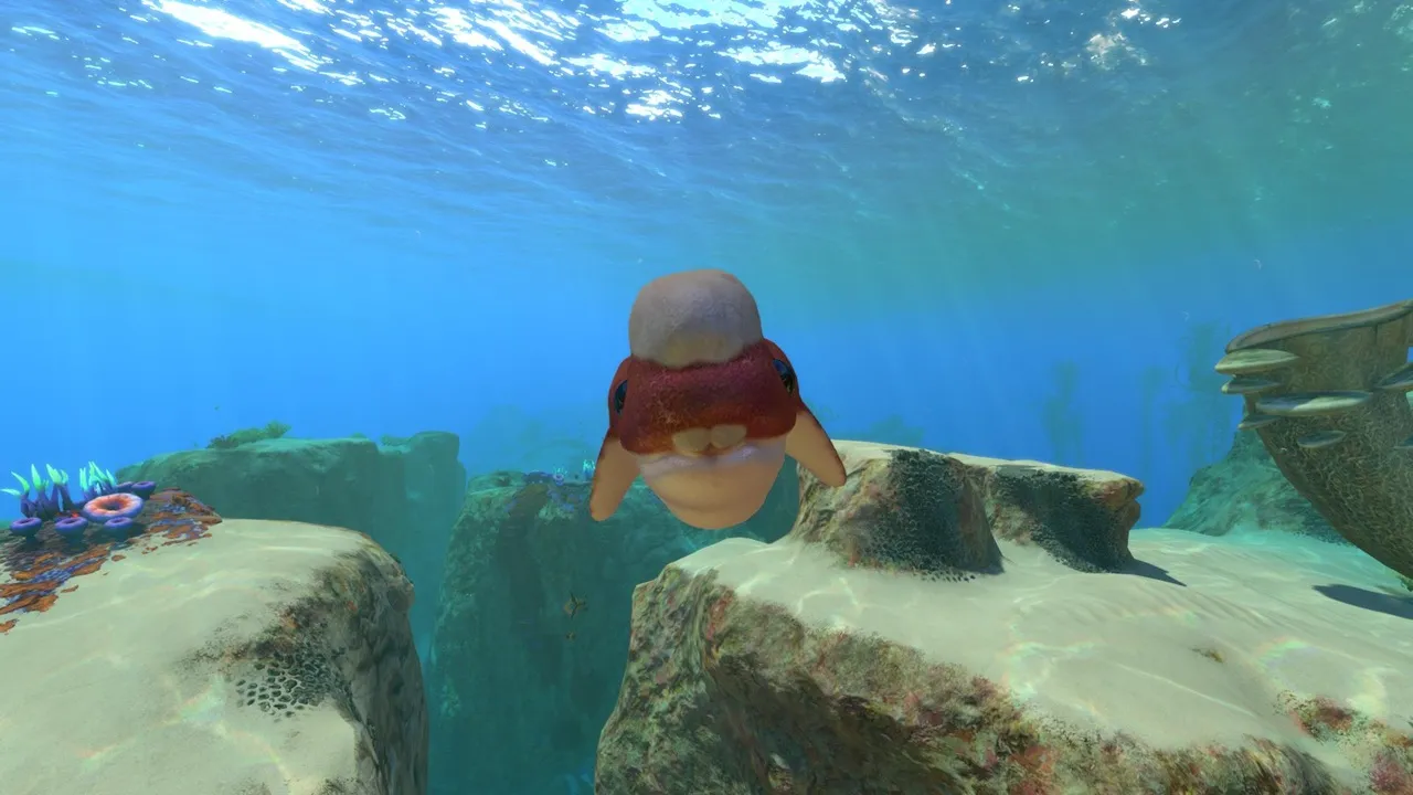 ギルバート（Gilbert）の画像