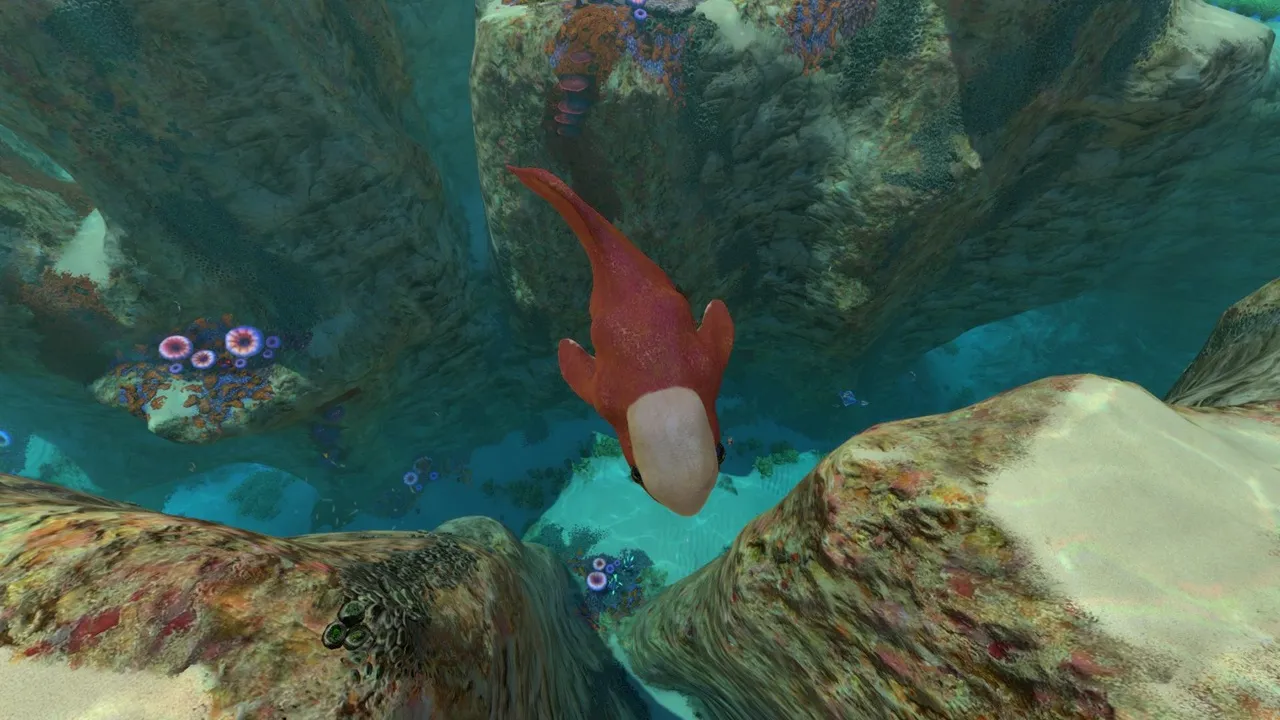 ギルバート（Gilbert）の画像