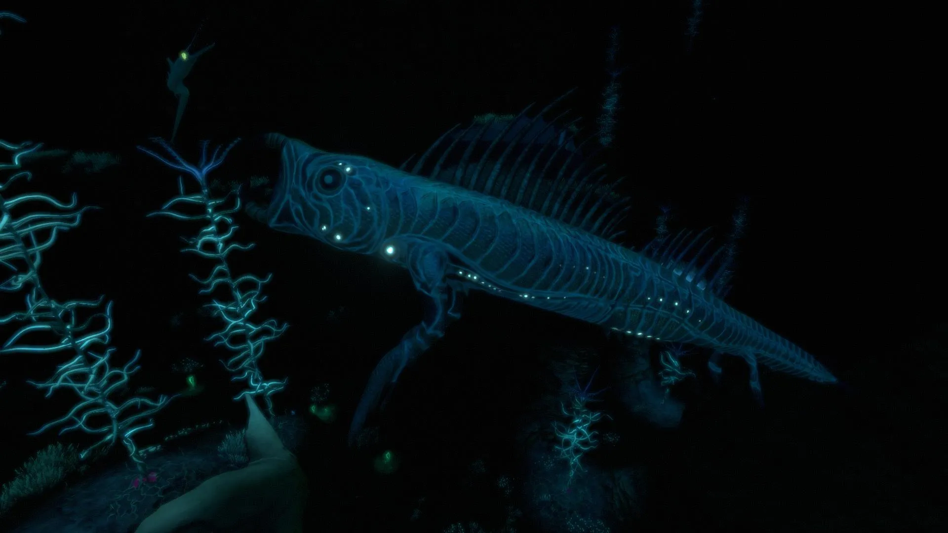 ガルパーリヴァイアサン(Gulper Leviathan)の画像