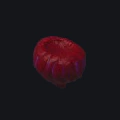Meat Shroom