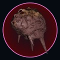 Conscious Neural Matter