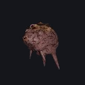 Dormant Neural Matter