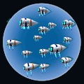 TADPOLE Drone Formation (16x)