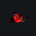 Warper Heart