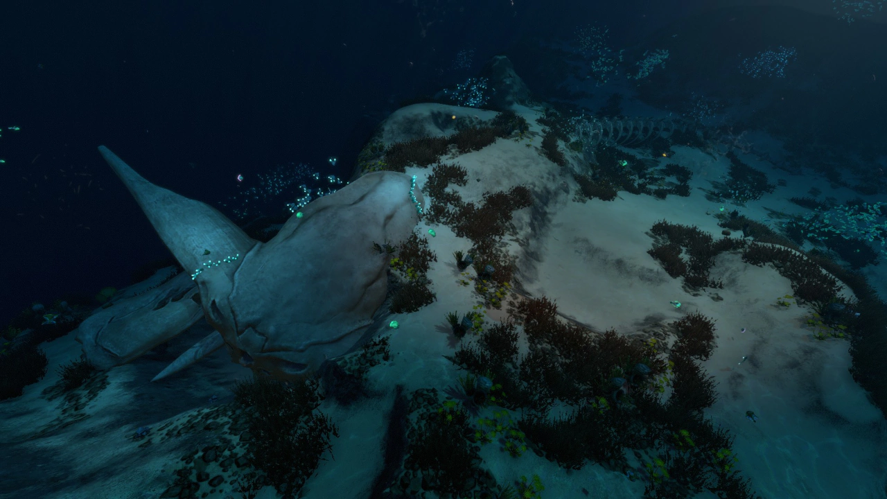 リヴァイアサンの遺骸