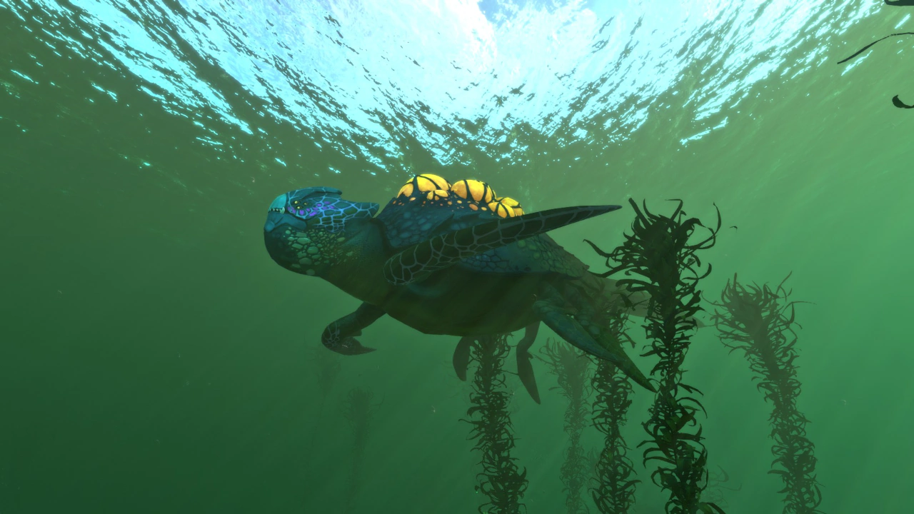 ポッドシェルリヴァイアサン（Podshell Leviathan）画像