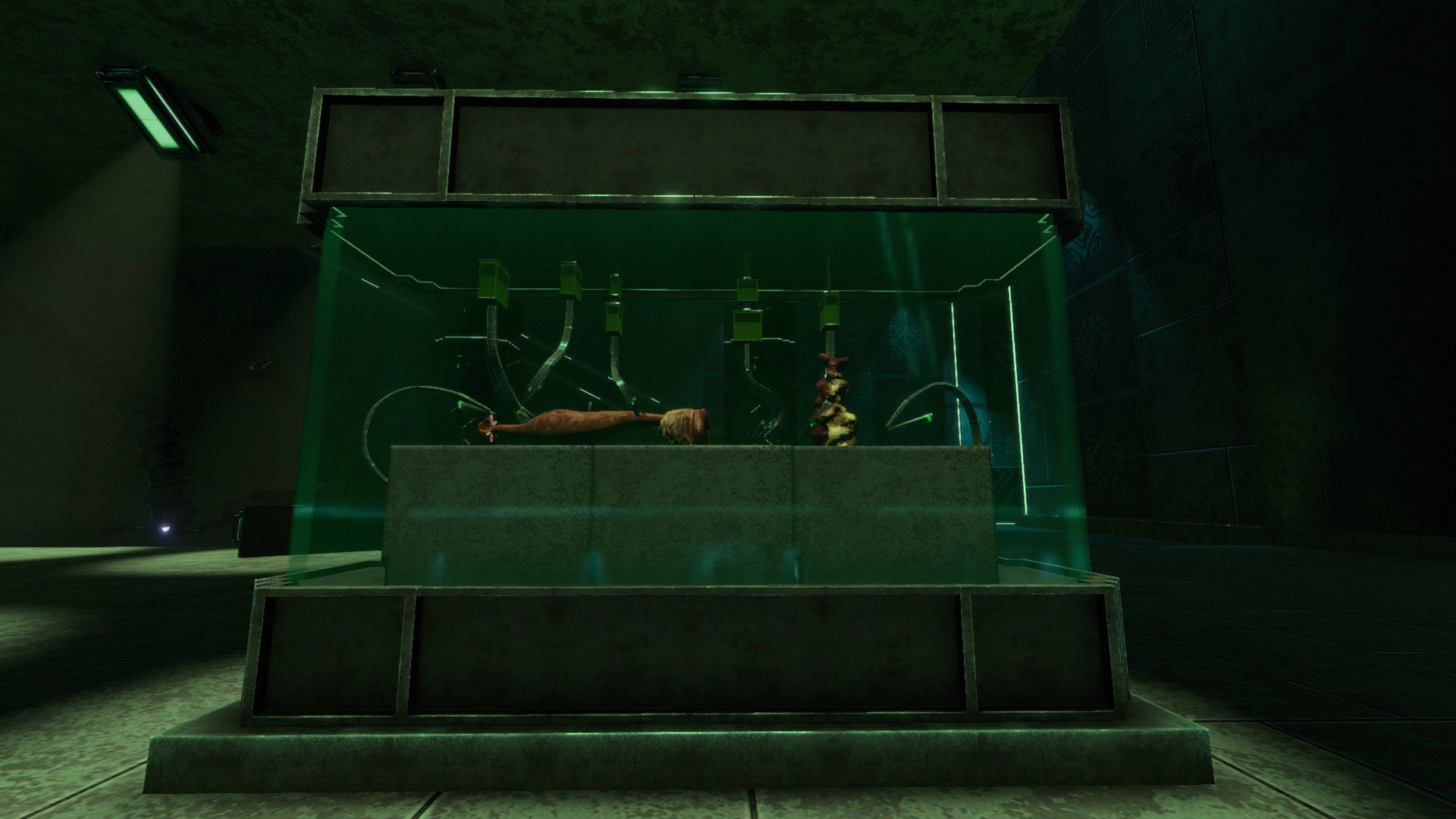 Bennet's Sanctuaryの画像