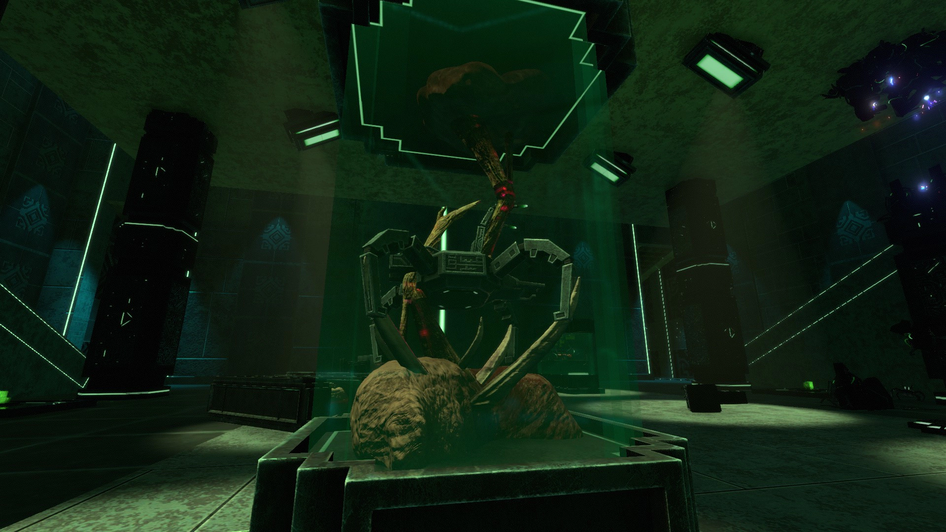 Bennet's Sanctuaryの画像