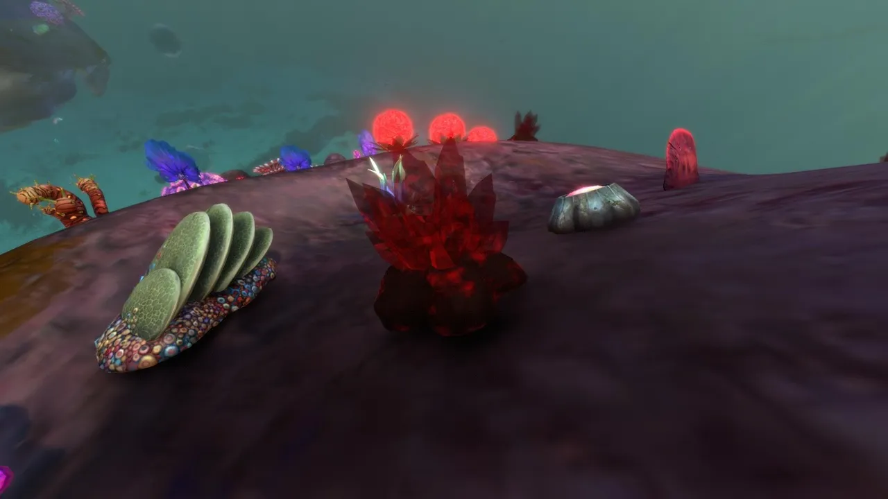 ブリスターバック（Blisterback）の画像