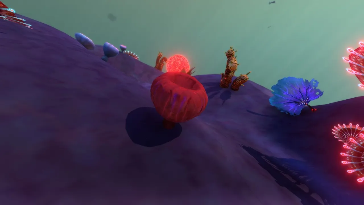 ブリスターバック（Blisterback）の画像