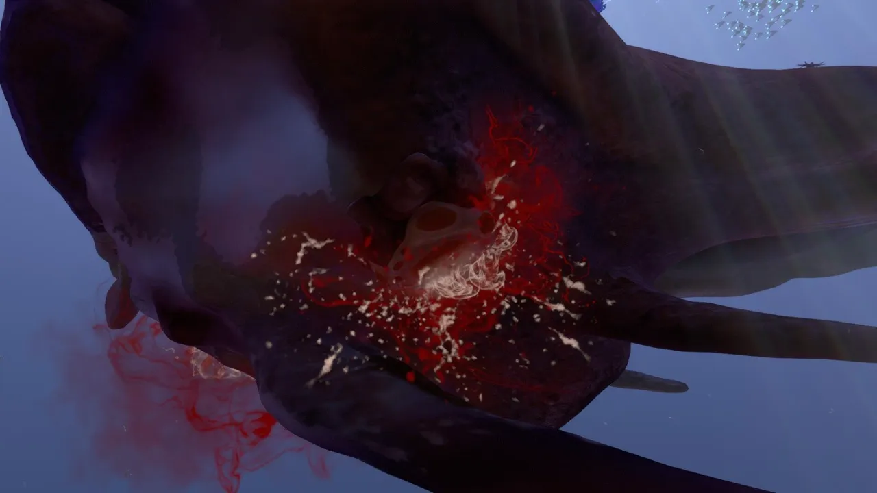 ブリスターバック（Blisterback）の画像