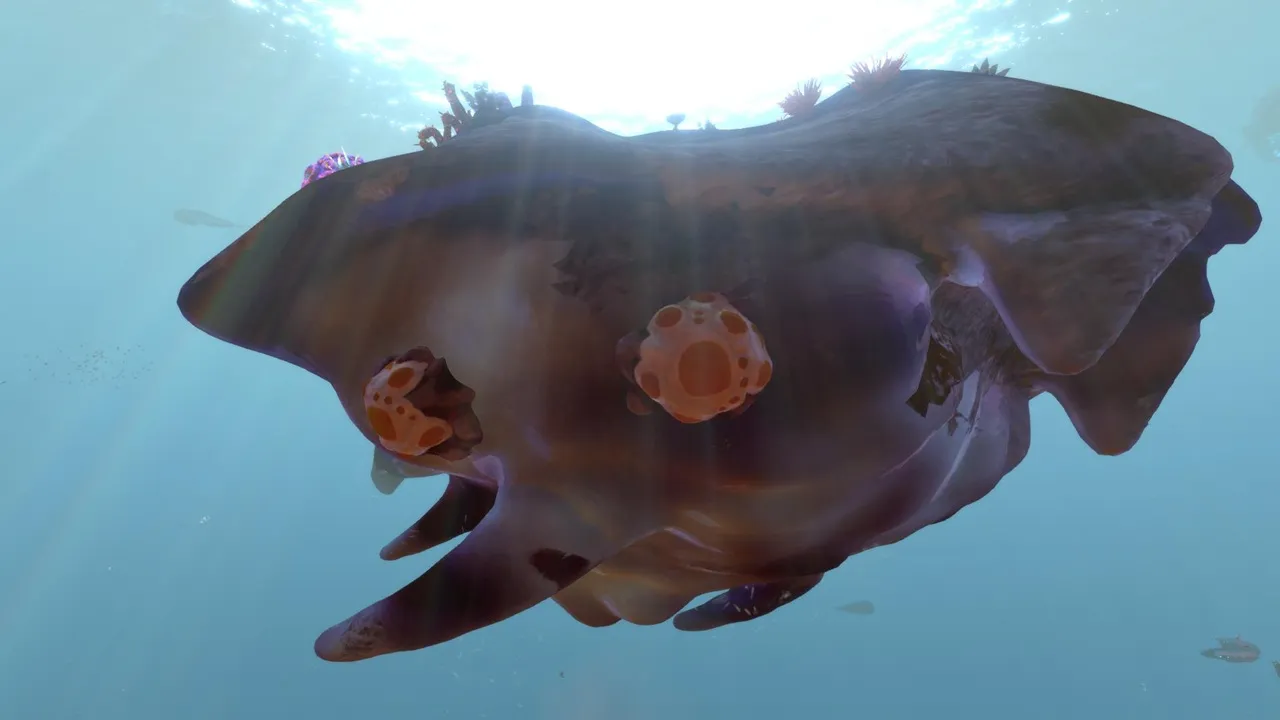 ブリスターバック（Blisterback）の画像