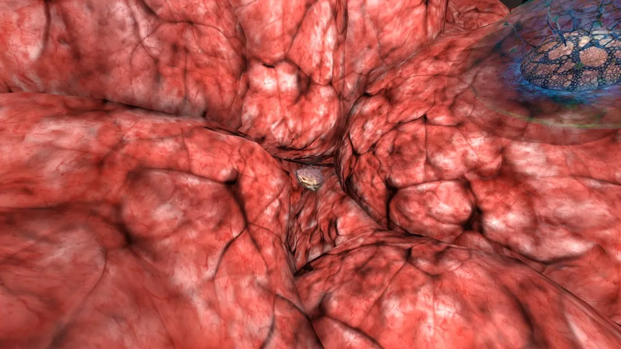 意識を持つ神経物質（Conscious neural matter）の画像