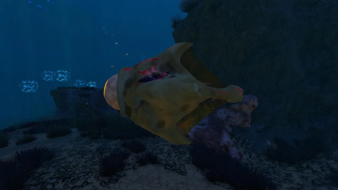 アイアイ・キャプテン（Eyeye Captain）の画像