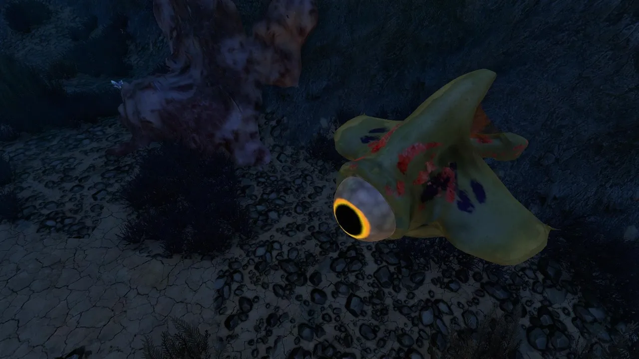 アイアイ・キャプテン（Eyeye Captain）の画像