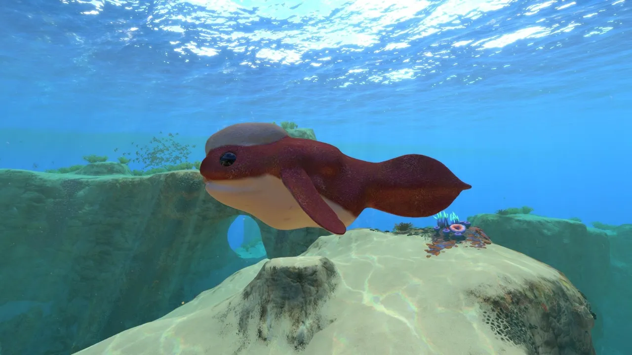 ギルバート（Gilbert）の画像