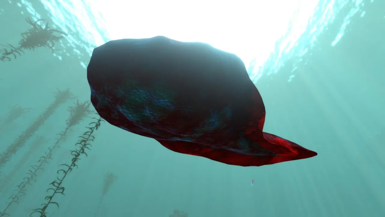 反転型スペードフィッシュ（Inverted Spadefish）の画像