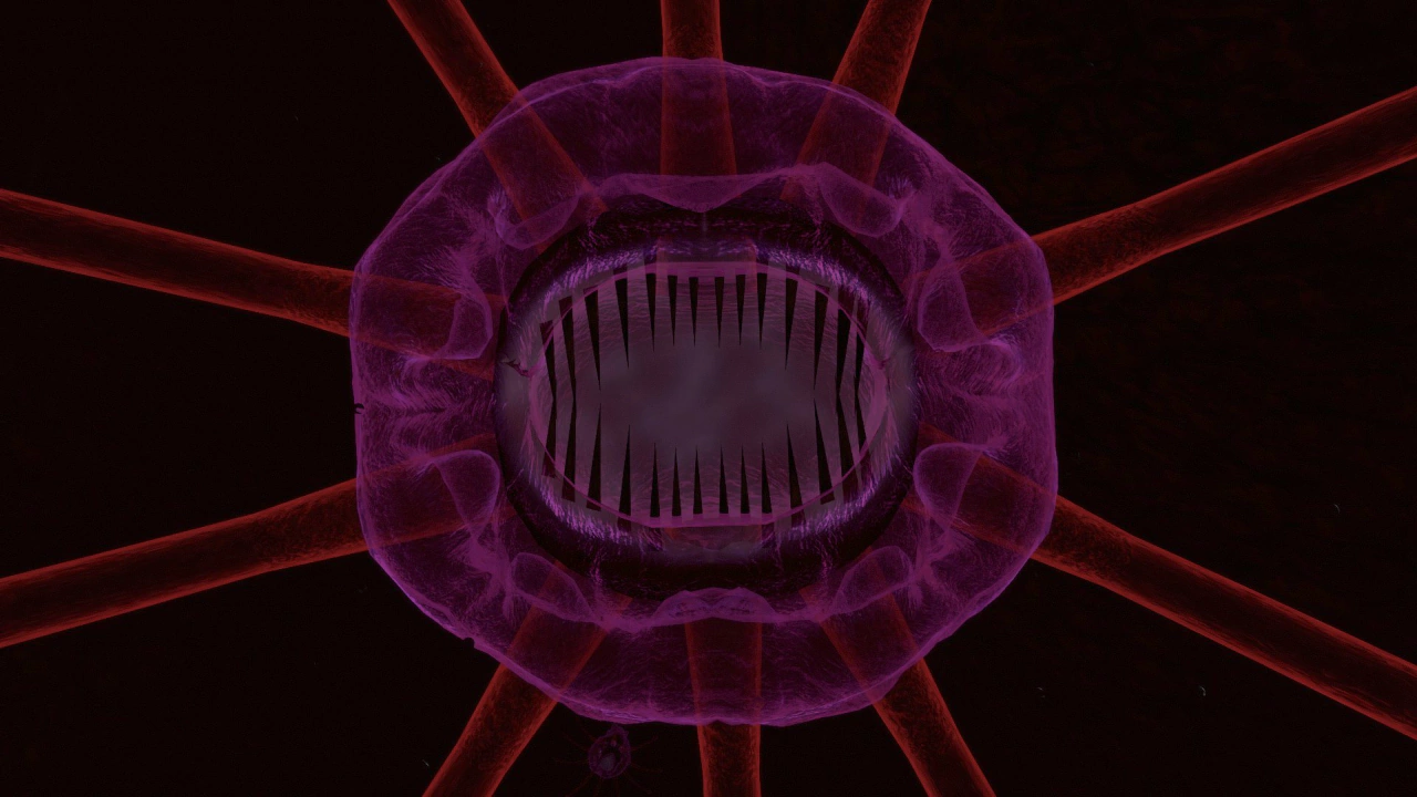 プレイグ・スキフォメドゥソイド（Plagued Scyphomedusoid）の画像