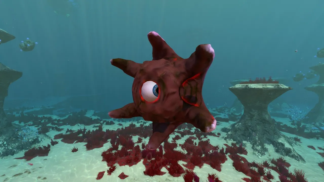 サッカー（Sucker）の画像