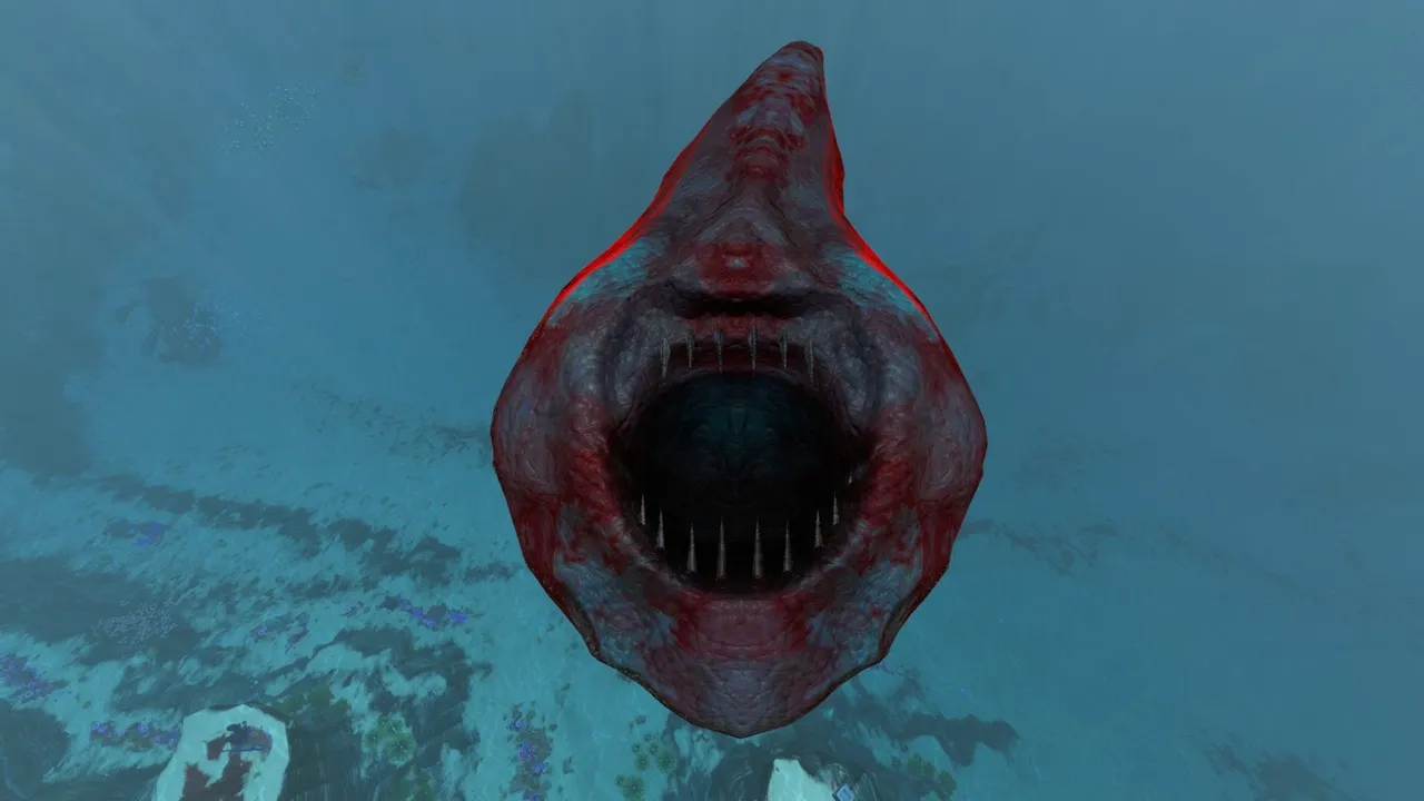 反転型スペードフィッシュ（Inverted Spadefish）の画像