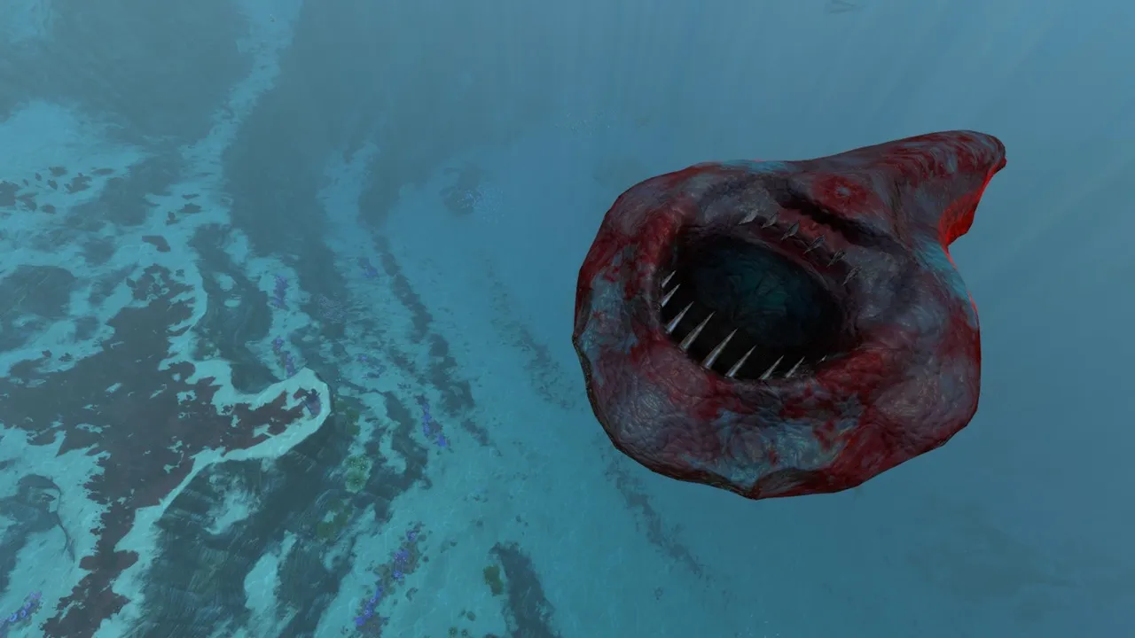 反転型スペードフィッシュ（Inverted Spadefish）の画像