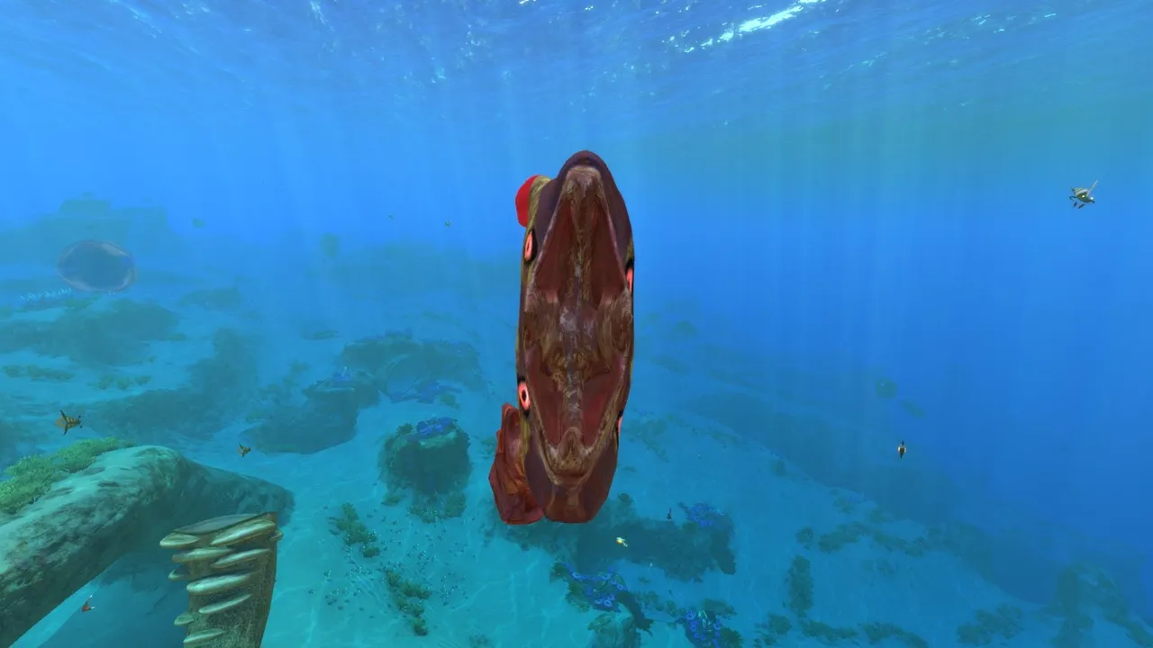 変異ブーメラン（Mutant boomerang）の画像