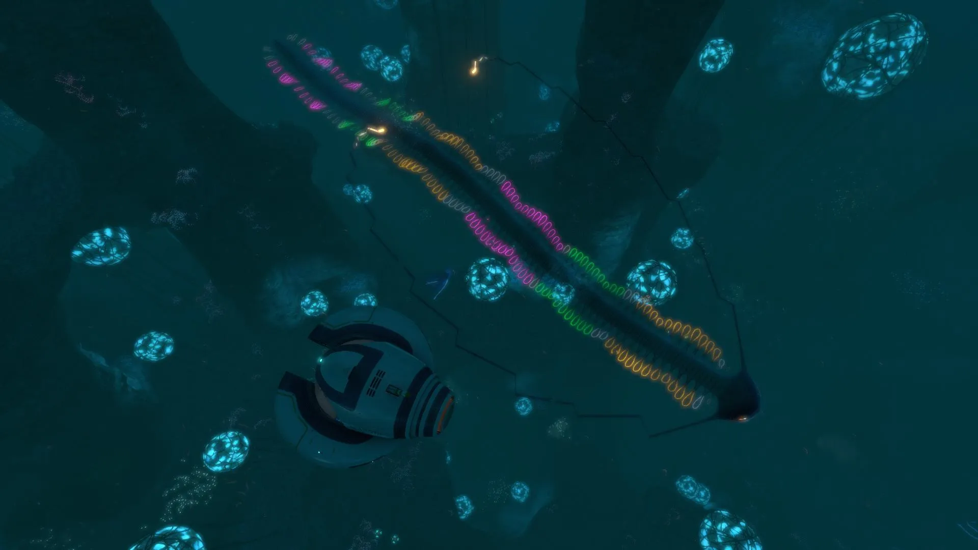 ピランバシス(Pyrambassis)の画像