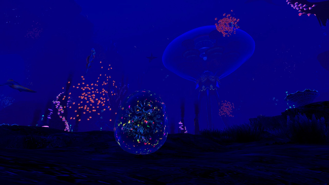 ピランバシス（Pyrambassis egg）の画像