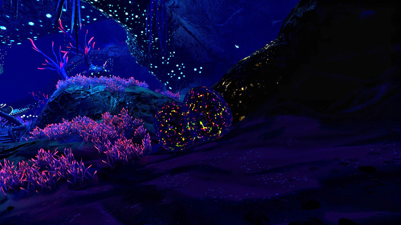 ピランバシスの卵（Pyrambassis egg）