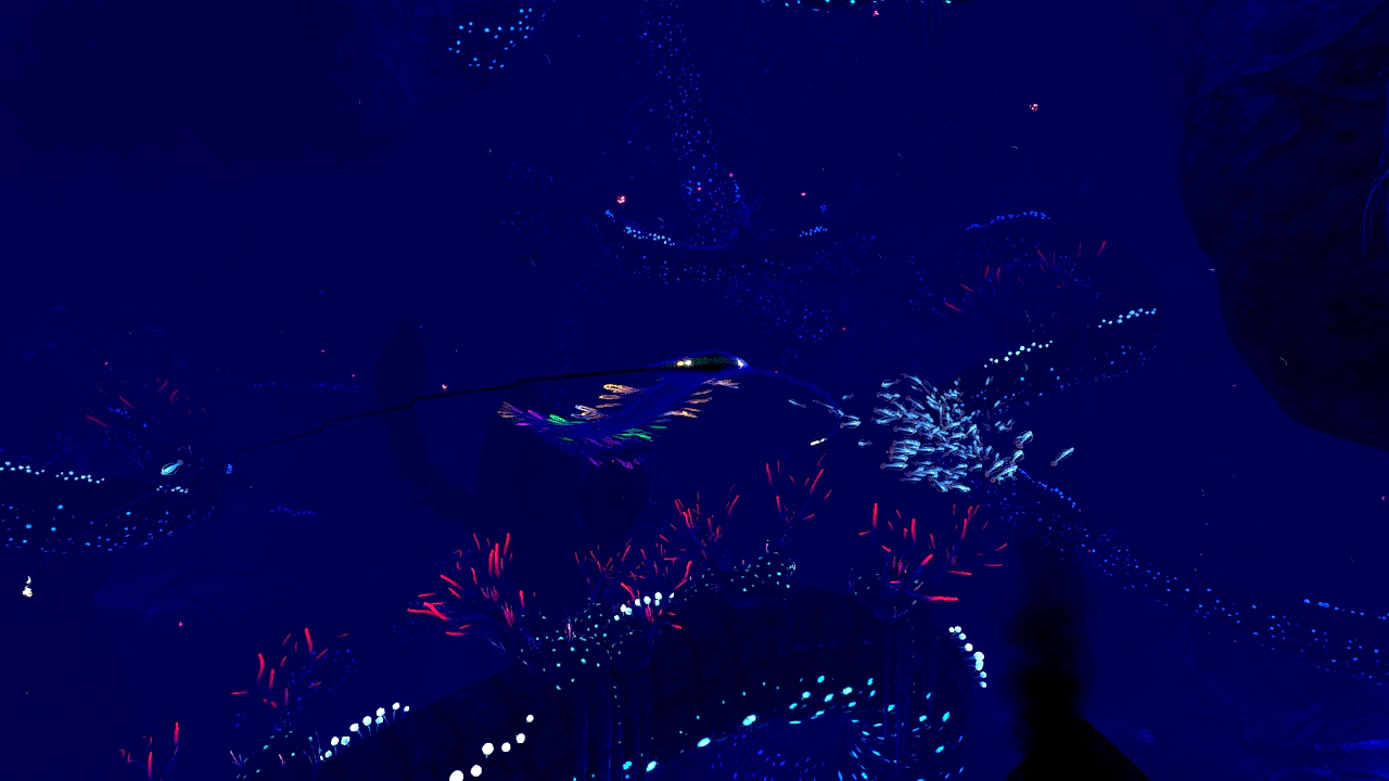 ピランバシス（Pyrambassis）