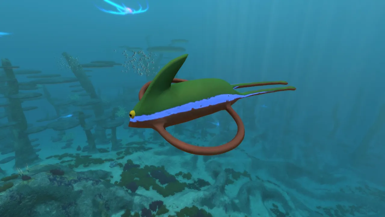 リボンレイ(Ribbon Ray)の画像