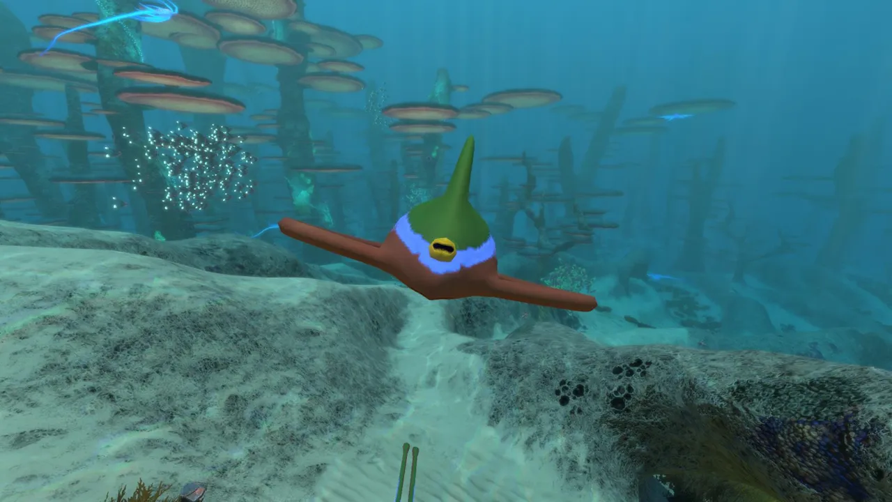 リボンレイ(Ribbon Ray)の画像