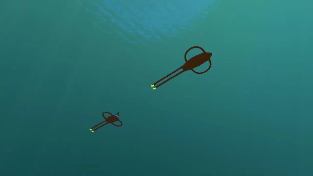 リボンレイ(Ribbon Ray)の画像