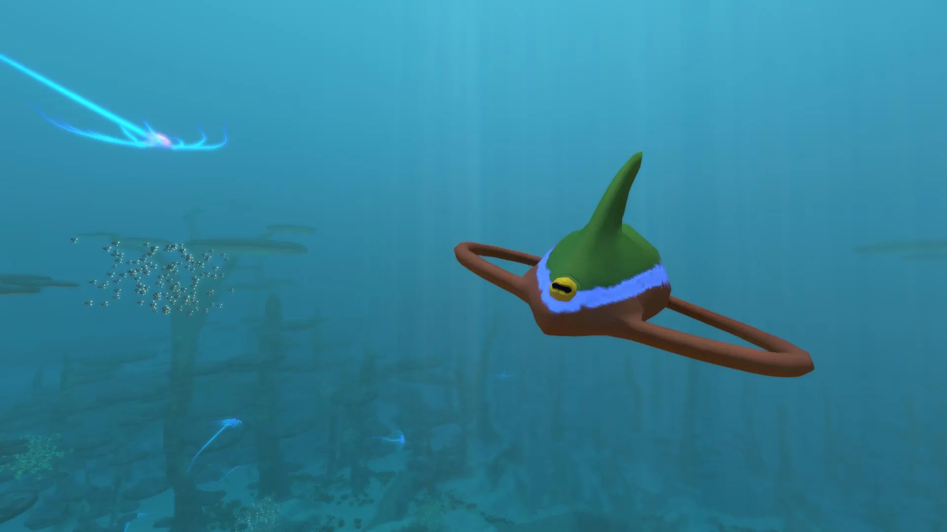 リボンレイ(Ribbon Ray)の画像