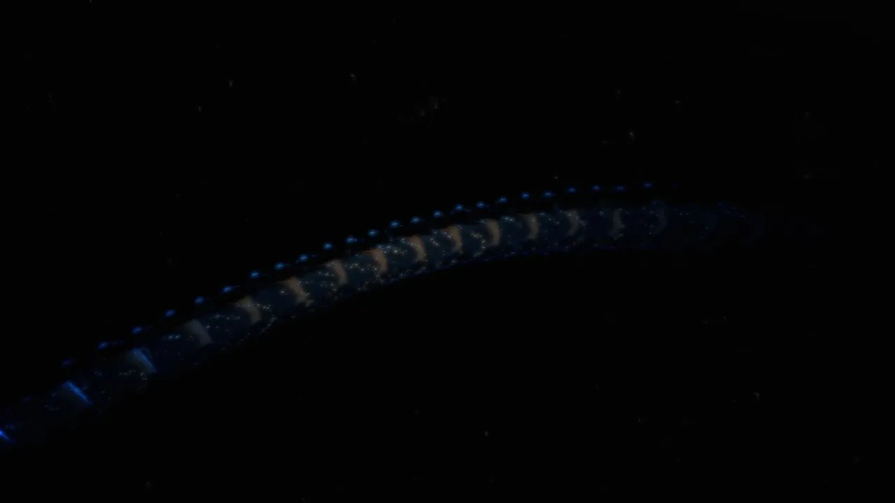 Gargantuan Leviathan（ガルガンチュアリヴァイアサン）の画像