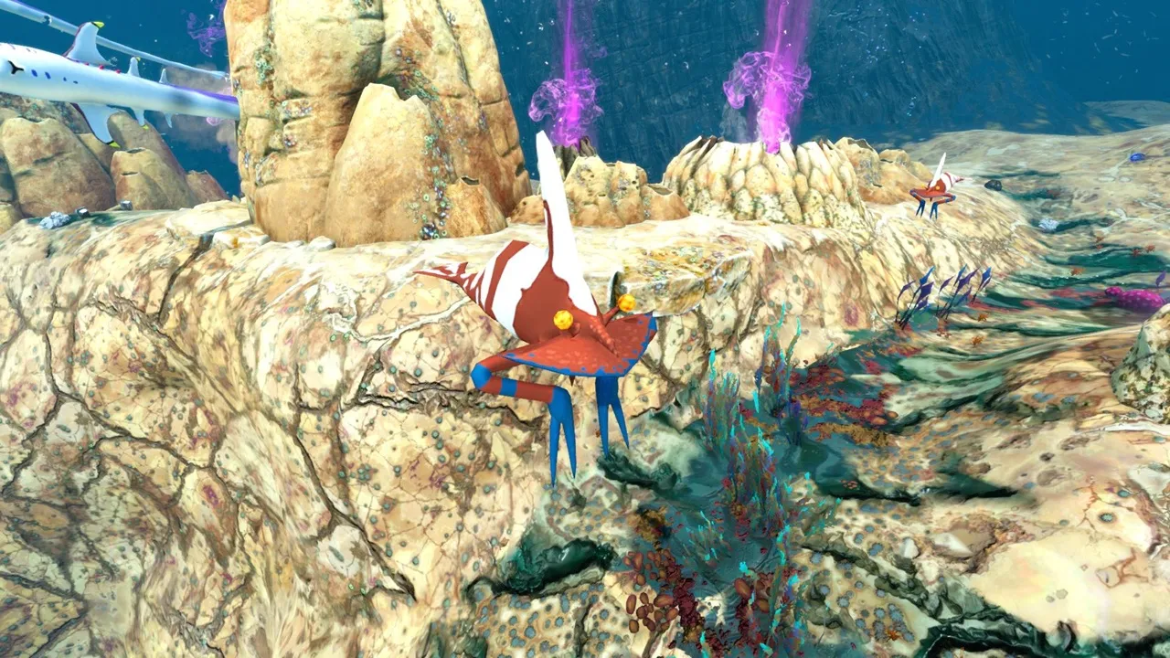 ルビークラウンピンチャー（Ruby Clown Pincher）の画像