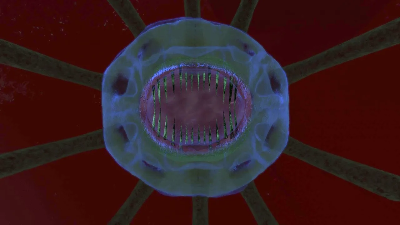 プレイグ・スキフォメドゥソイド（Plagued Scyphomedusoid）の画像