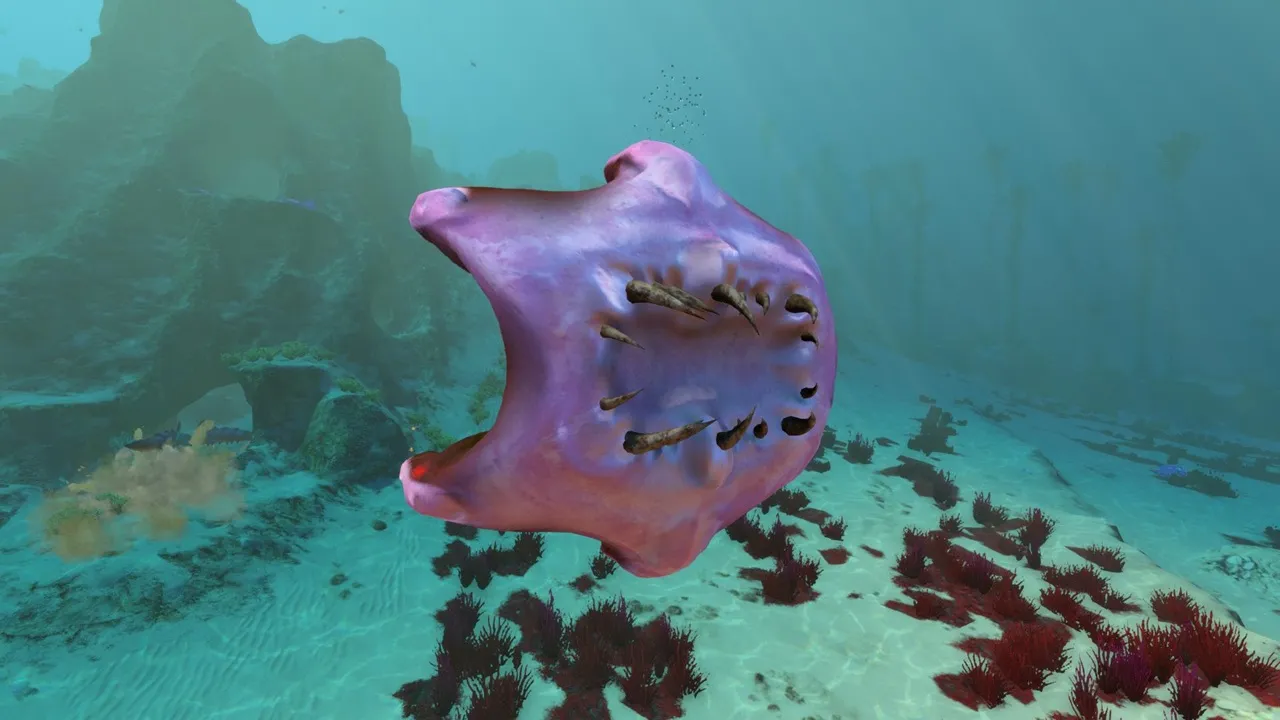 サッカー（Sucker）の画像