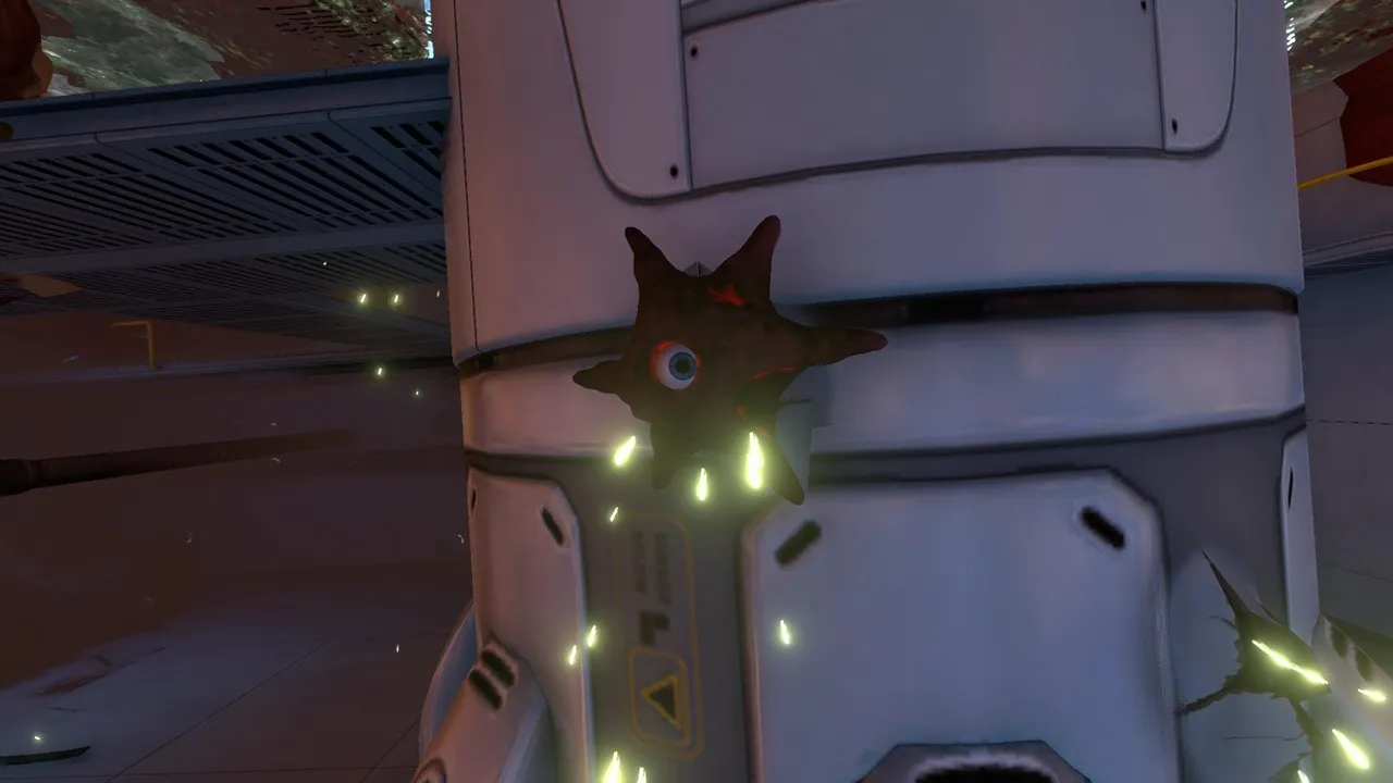 サッカー（Sucker）の画像